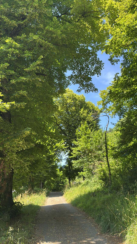 Appartement à MONNETIER-MORNEX