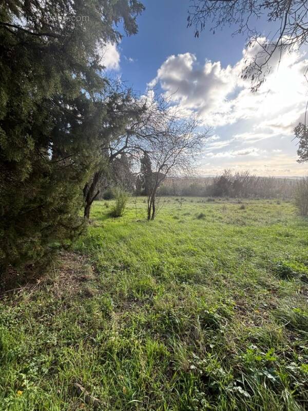 Terrain 1164 m² à Villepinte  - photo 1