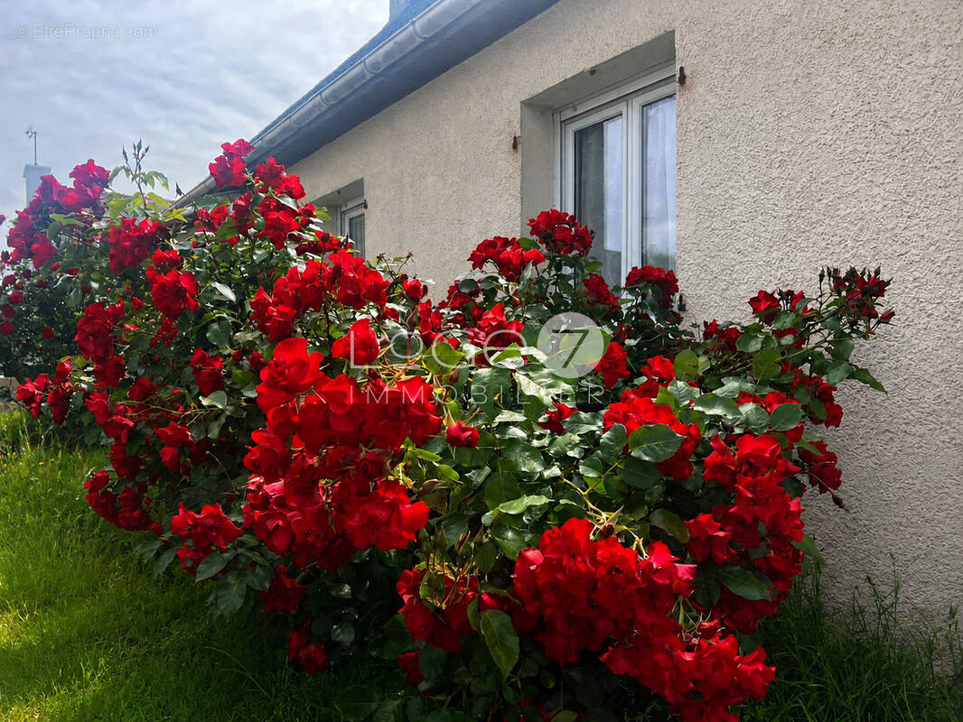 Maison à PLOEMEUR