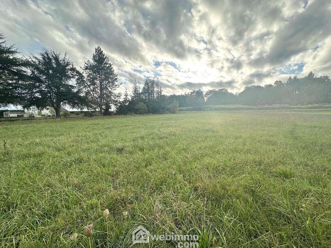 Ce terrain n'attend plus que vous et votre projet de construction - Terrain à MONS-EN-LAONNOIS