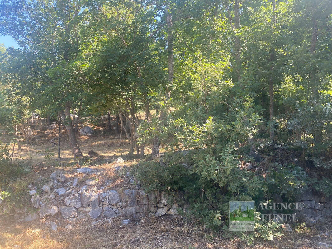 Terrain à SAINT-VALLIER-DE-THIEY