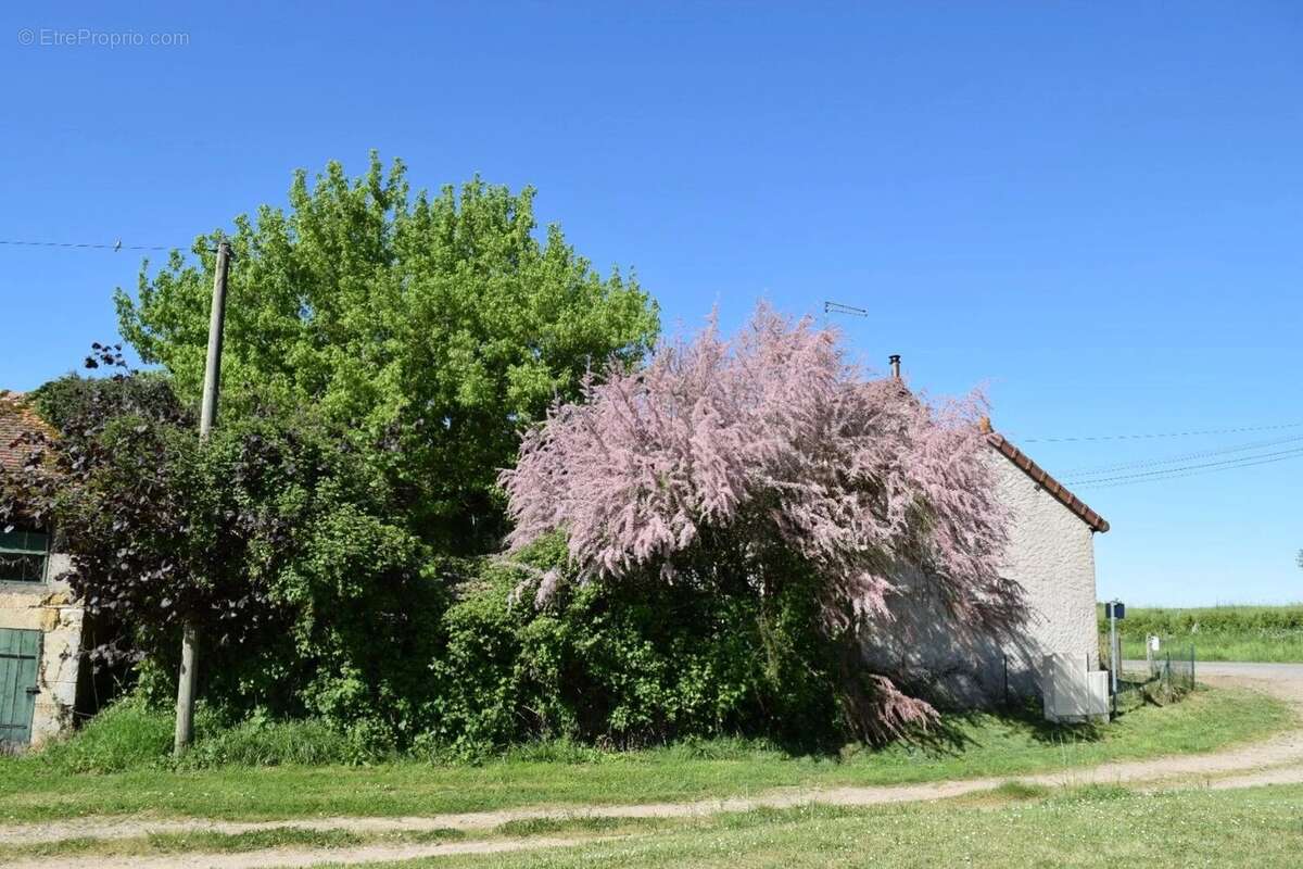 Maison à LIMANTON