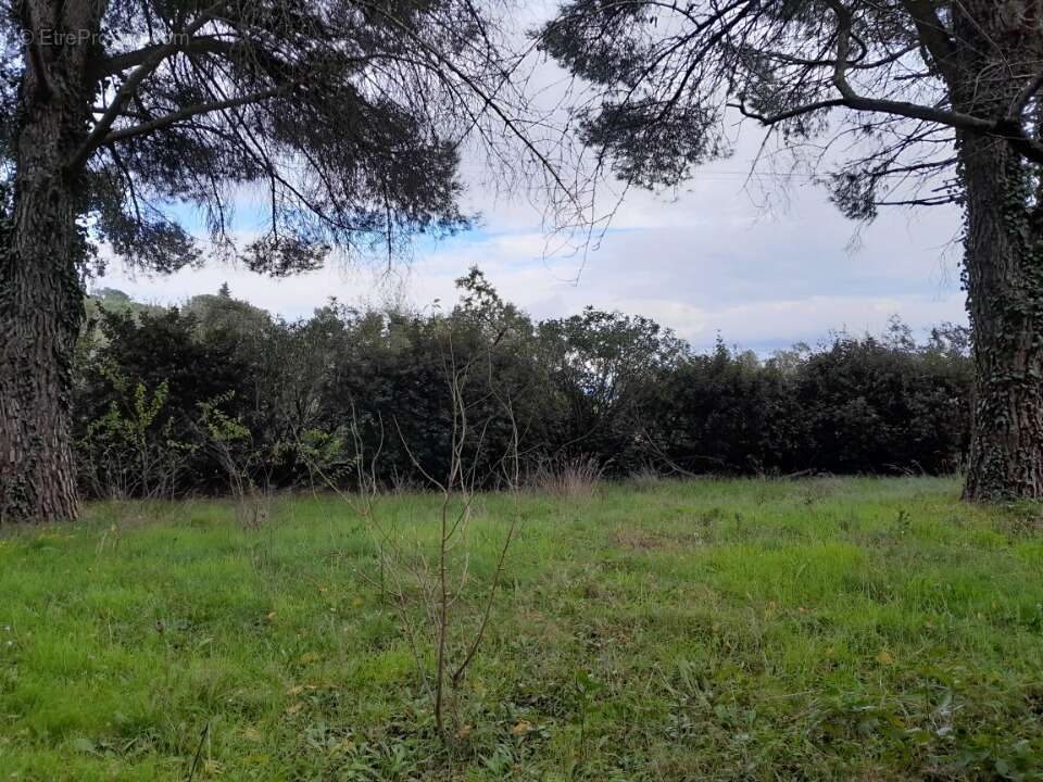 Terrain à LA GARDE-FREINET