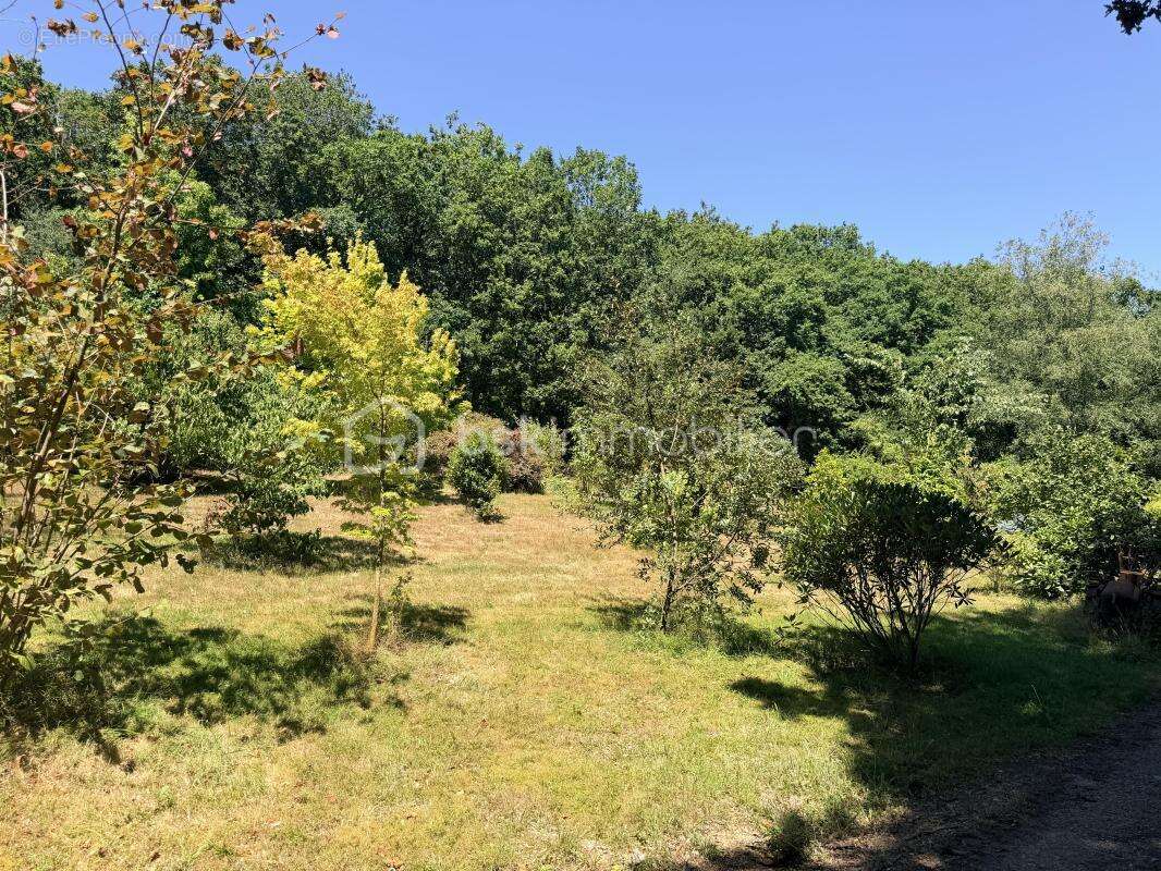 EXCLUSIVITE- NOUVEAUTE-Demeure de charme en pierre au cœur d'un domaine d'exception de 6 hectares! - photo 14