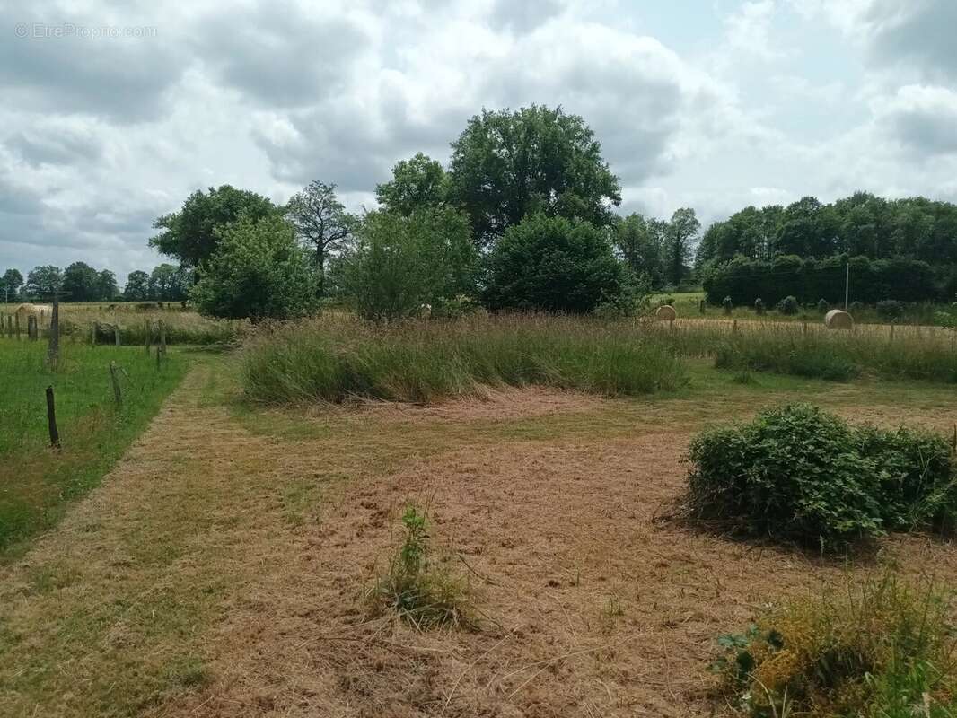 Charmante maison de campagne de 3 chambres avec grange et verger - photo 17