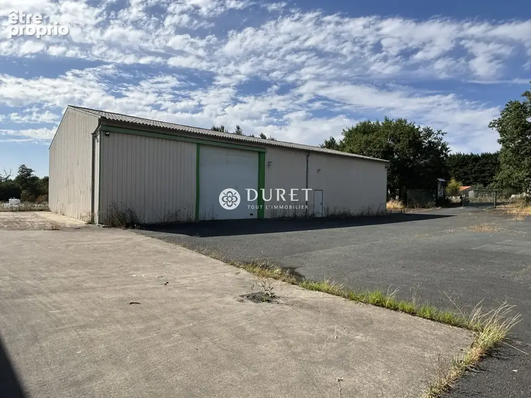 Commerce 600 m² à vendre à Les Clouzeaux (85430) - photo 8