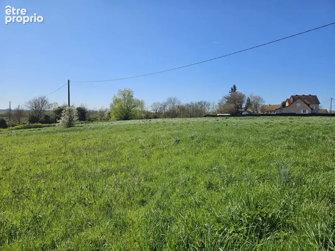 Allerey sur Saône Terrain à Bâtir - photo 3