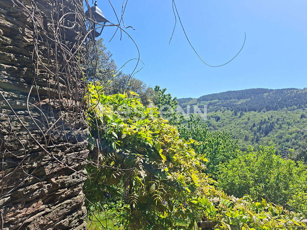 Maison de hameau en pierre à vendre à Saint-Germain-de-Calberte ? 157 m², 5 chambres, cour intérieure et vue sur la vallée - photo 4