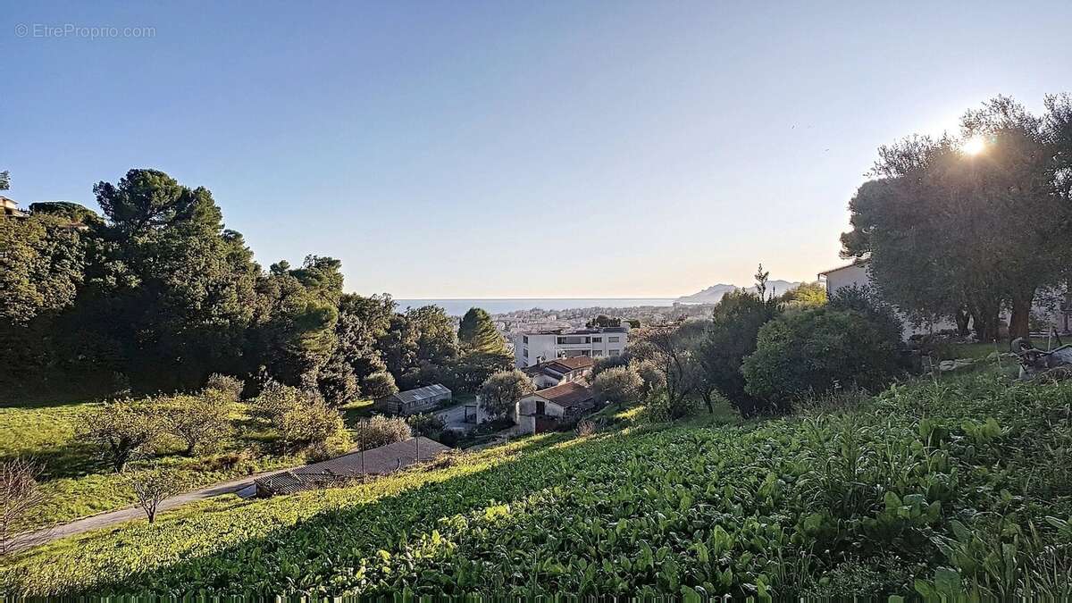 Terrain à LE CANNET