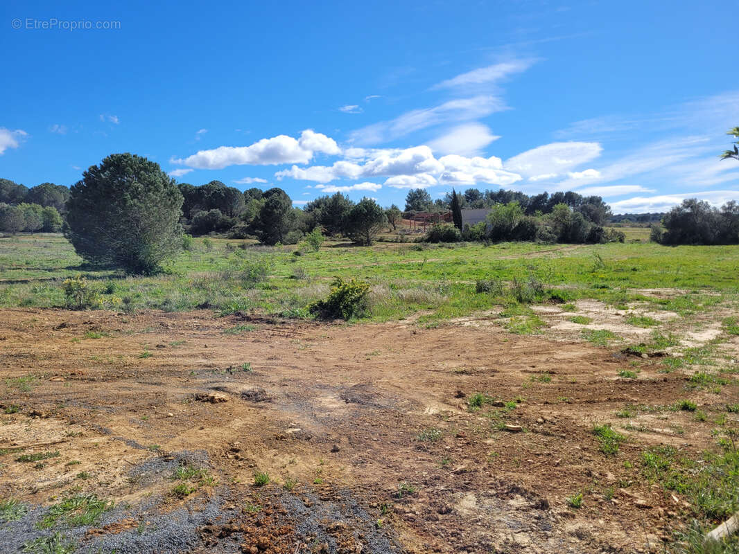 Terrain à SALLES-D'AUDE