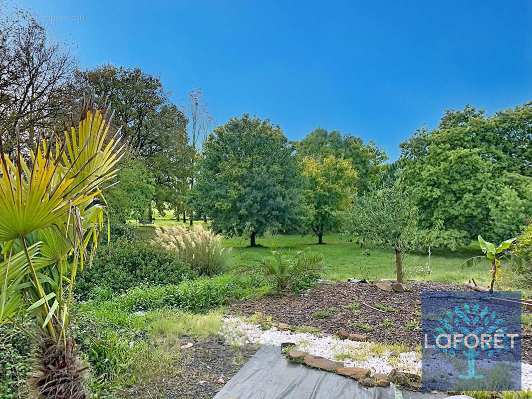 Maison à CHANTONNAY