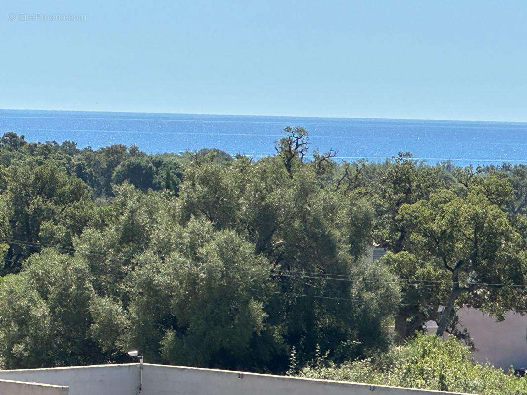 Ensemble immobilier : Appartement T4 + 2 studios - 20144 STE LUCIE DE PORTO VECCHIO - photo 2