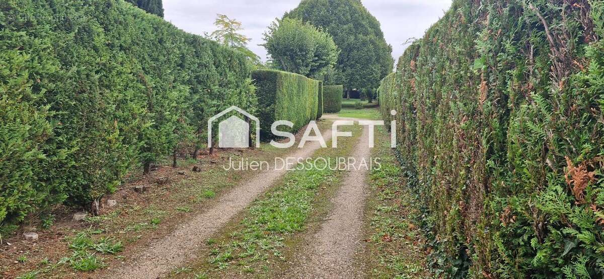 Photo 3 - Terrain à NIHERNE