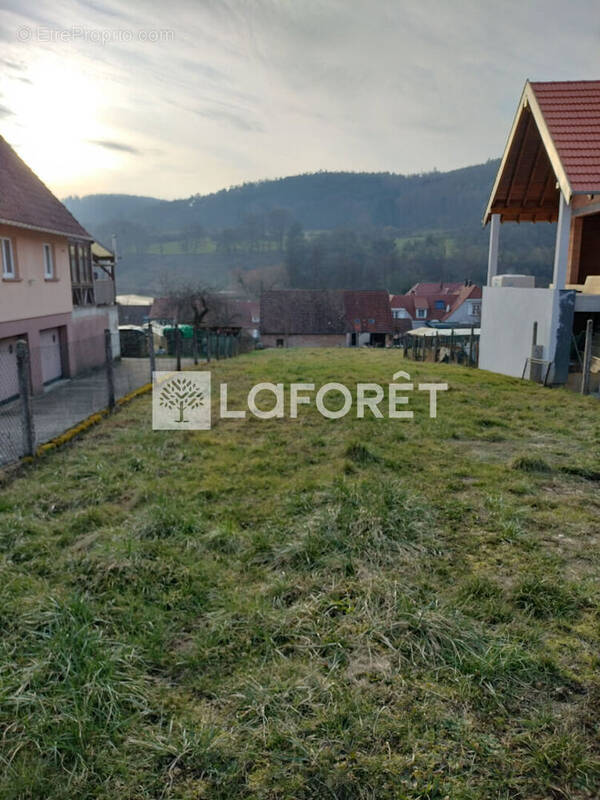 Terrain à LEMBACH