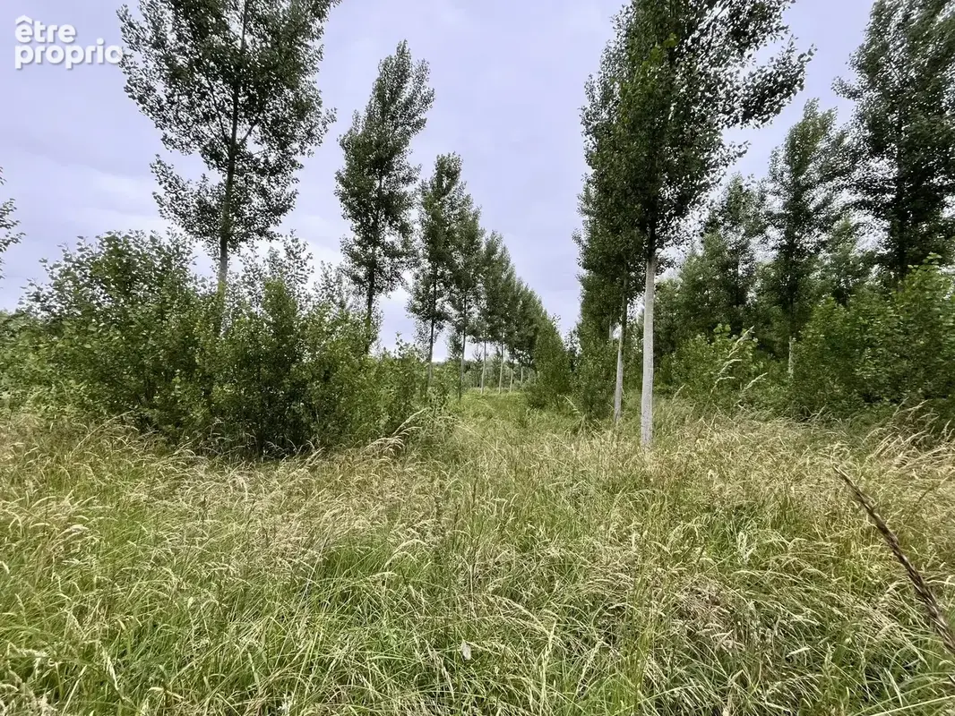 Vente Terrain Fismes(51170) 198 000ï¿œ - photo 3