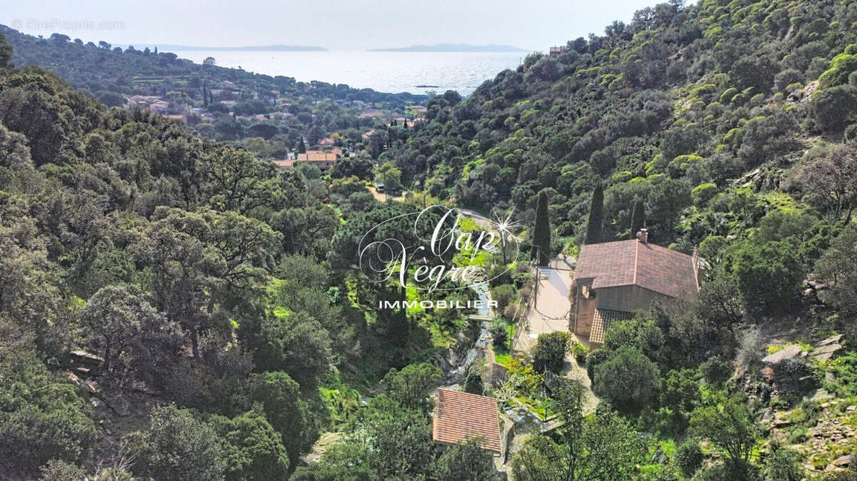Maison à LE LAVANDOU
