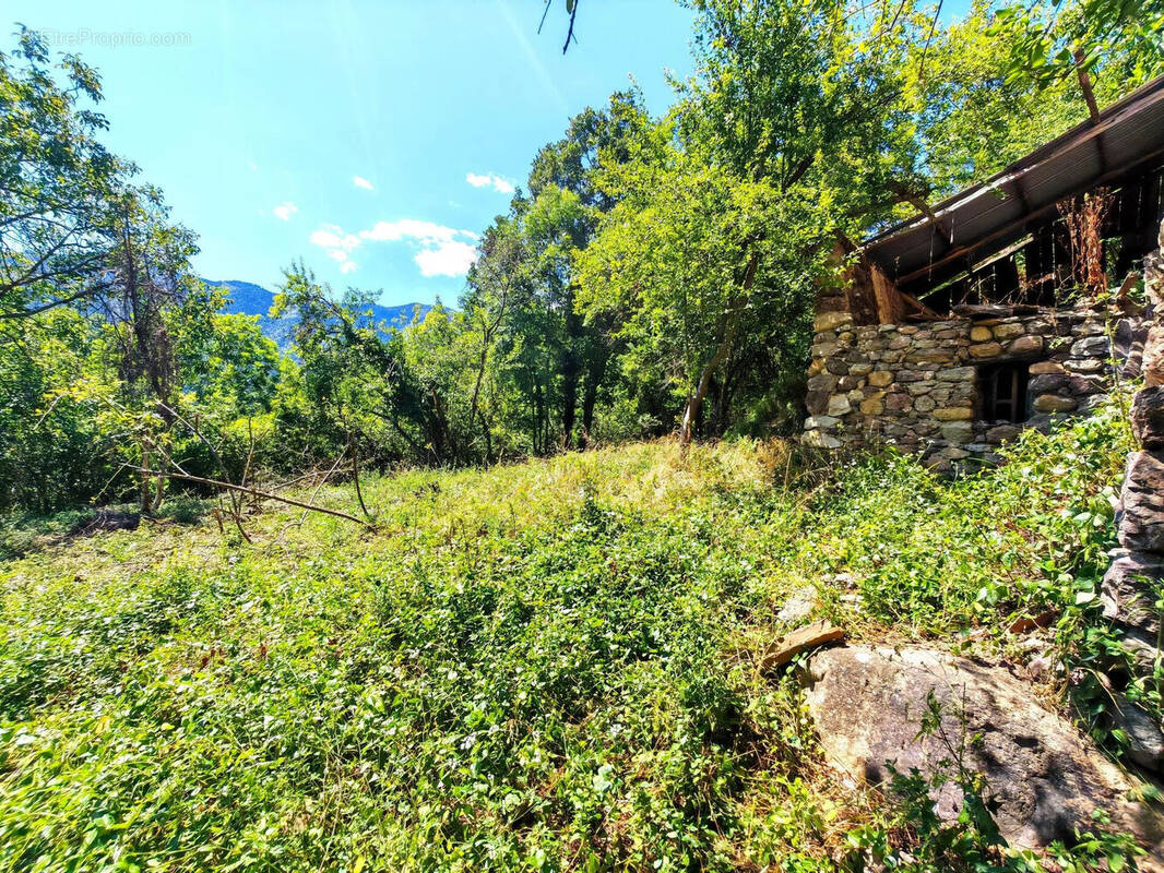 Photo 1 - Maison à BELVEDERE