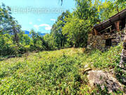 Photo 1 - Maison à BELVEDERE