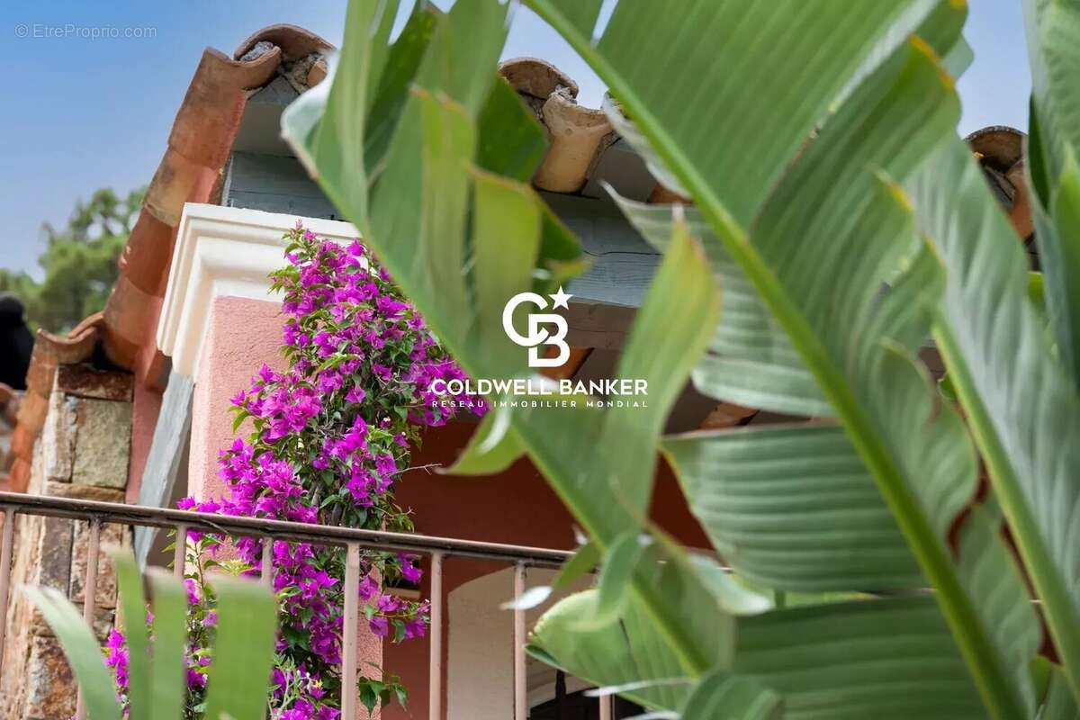 Confort, vue & authenticité et seulement 25 minutes de ST TROPEZ - photo 75