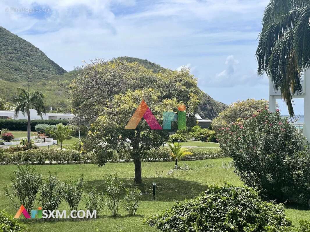 Studio spacieux avec terrasse et vue jardin - photo 2