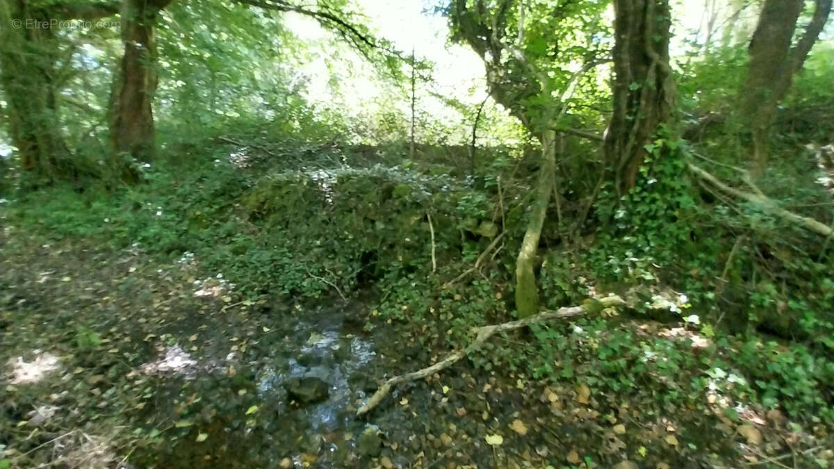 Point d'eau avec Terrain boisé - Périgord Vert - photo 5