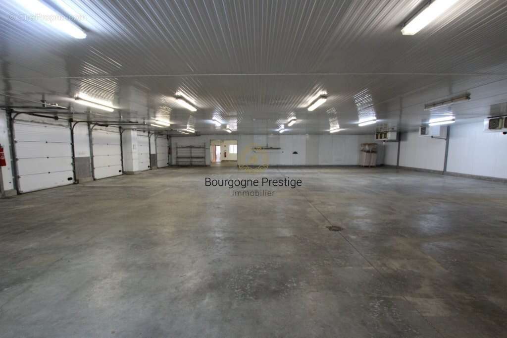 Batiment industriel 922 m² dont bureaux 332 m². stockage chambres froides 590 m² sur un terrain de 10 153 m² - photo 6