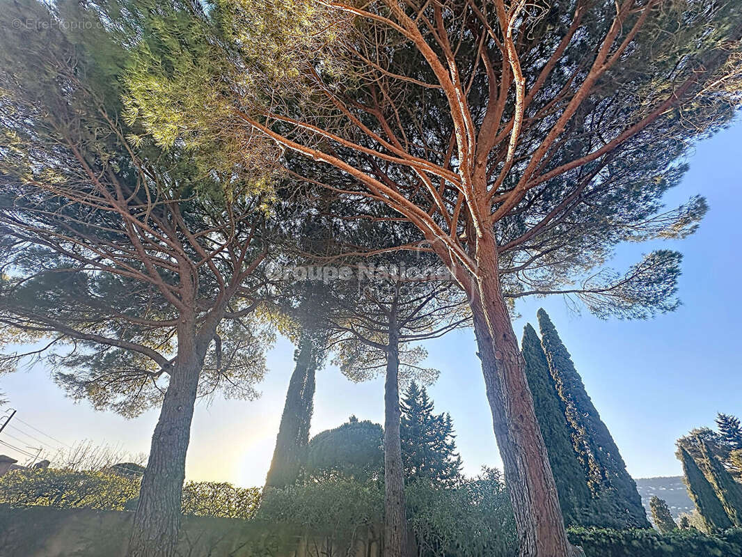 Maison à PEYMEINADE