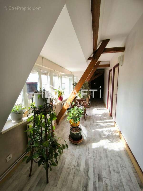 Photo 7 - Appartement à BUYSSCHEURE