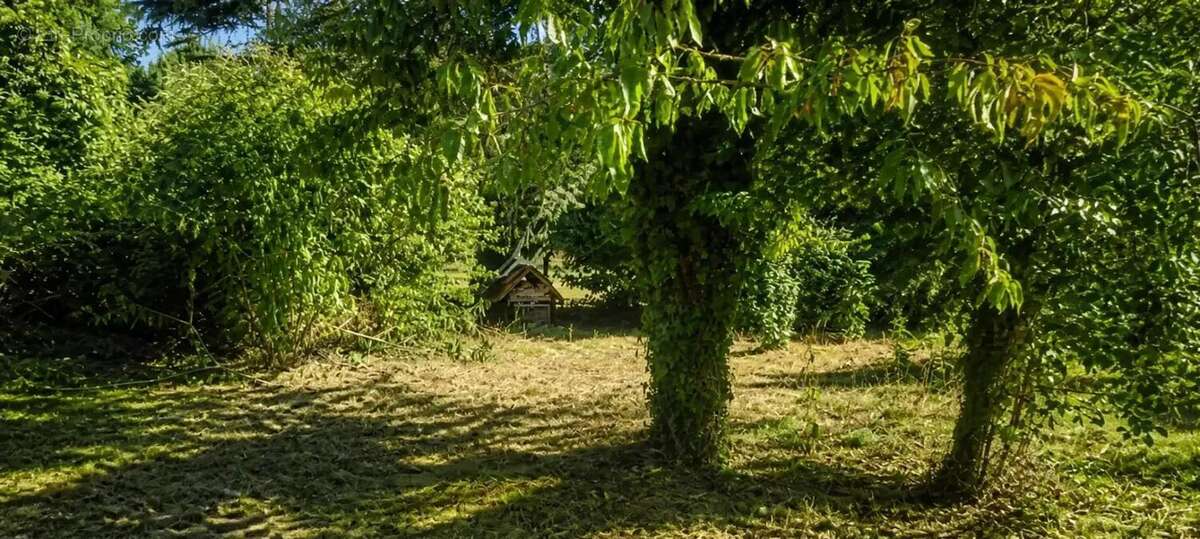 Maison de 5 pièces de 218 m² à Sainte-Terre - photo 18