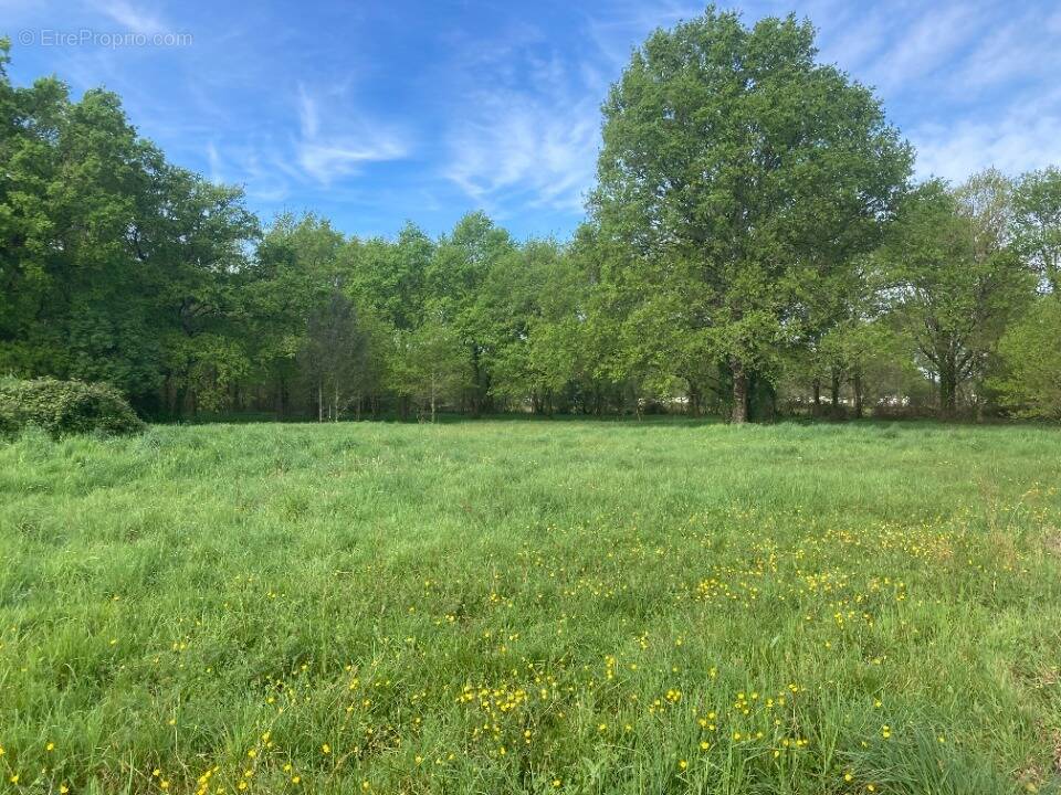 Terrain à VENSAC