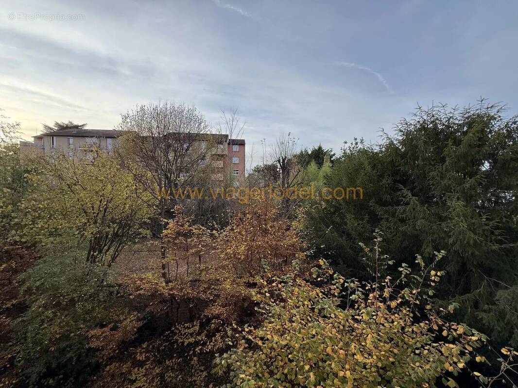 Appartement à VILLEFRANCHE-SUR-SAONE