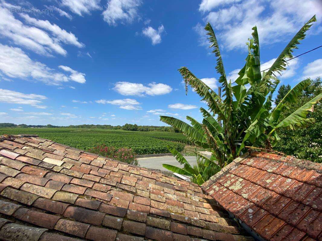 Maison de village - photo 17
