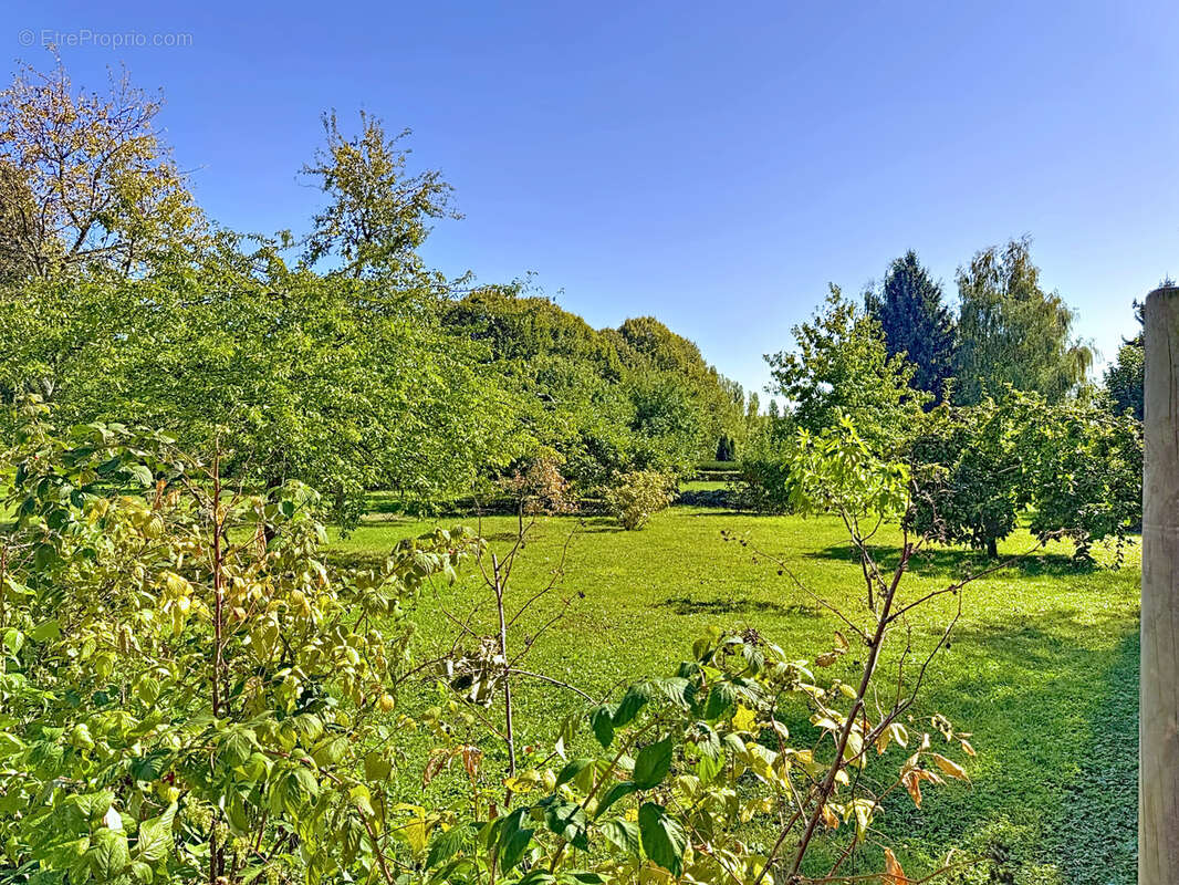 Maison à MONTMIRAIL