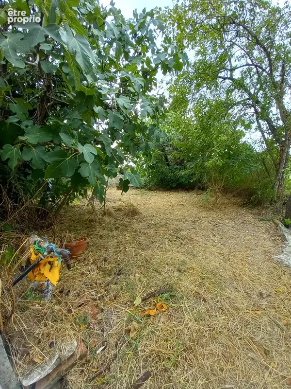 Maison en pierres de 80m2 avec dépendance et jardinet - photo 5