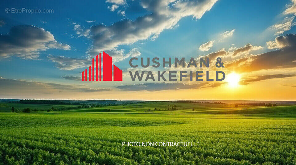 Terrain à SAINT-JORY