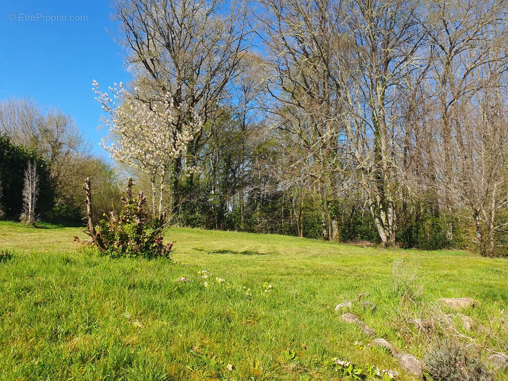 Maison à GROS-CHASTANG