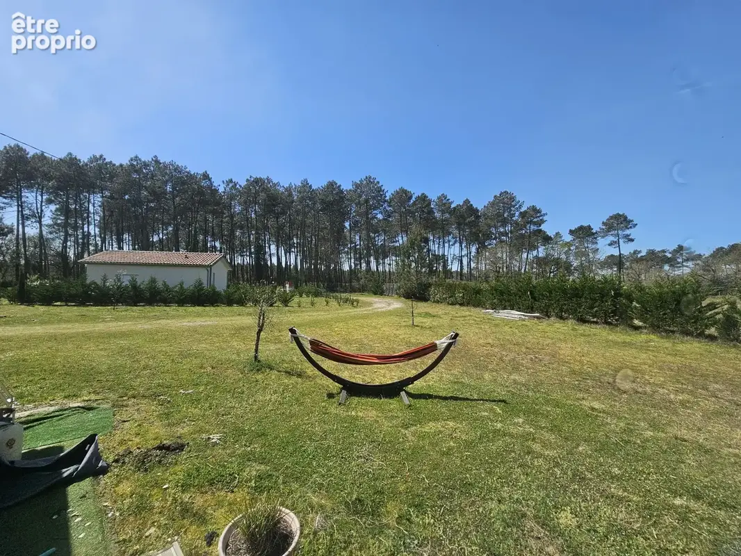 Au coeur de  la forêt landaise - photo 10