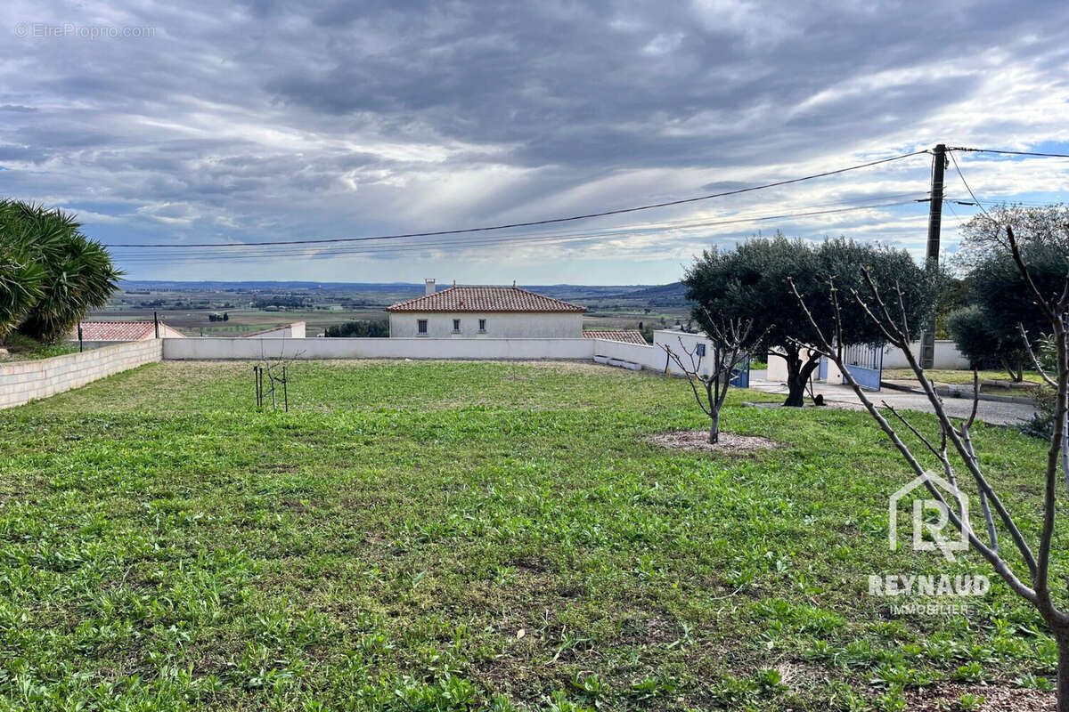 Terrain à CLERMONT-L'HERAULT