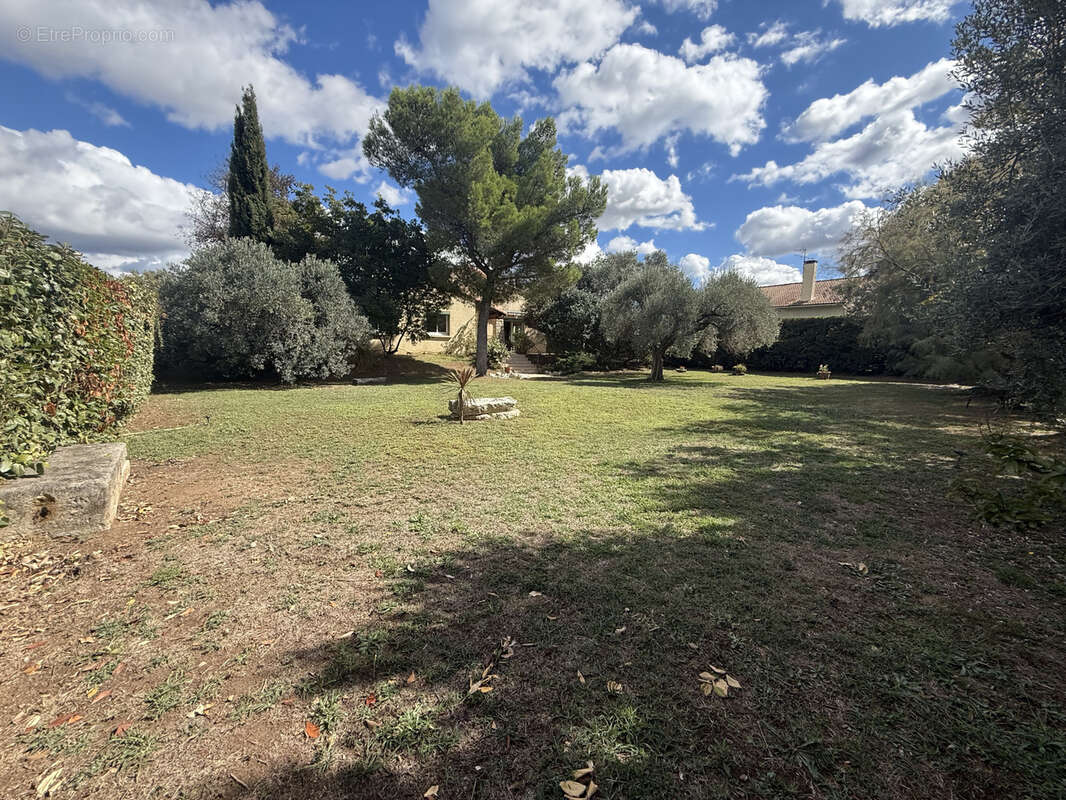 Maison à CAISSARGUES