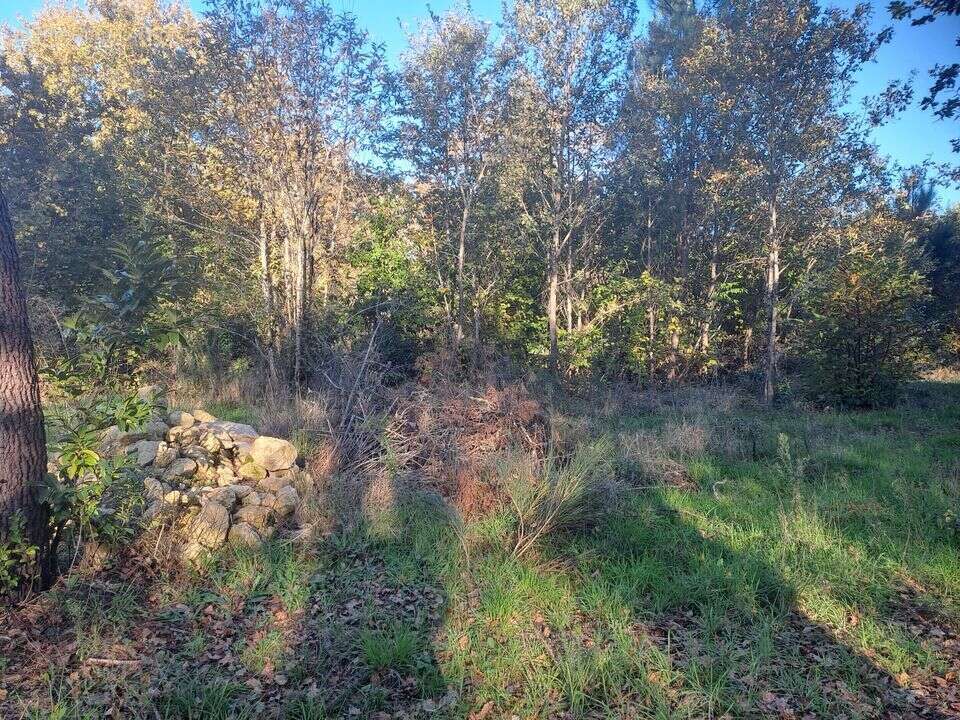 Terrain 1080 m² à Saint-Sauveur  - photo 21