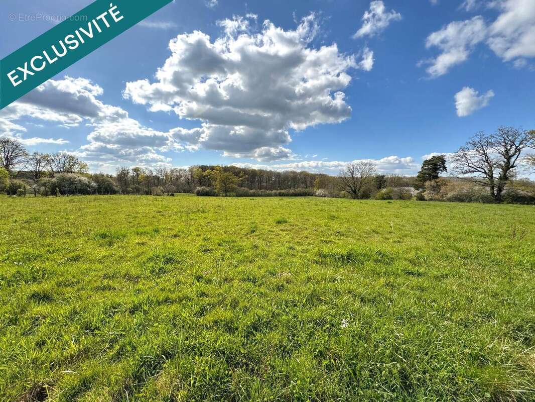 Photo 5 - Maison à VARENNES-SAINT-SAUVEUR