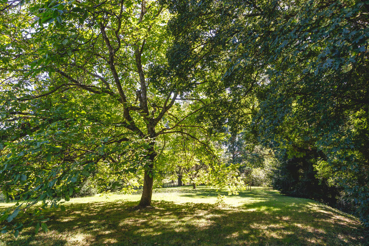 Maison à MOGNENEINS