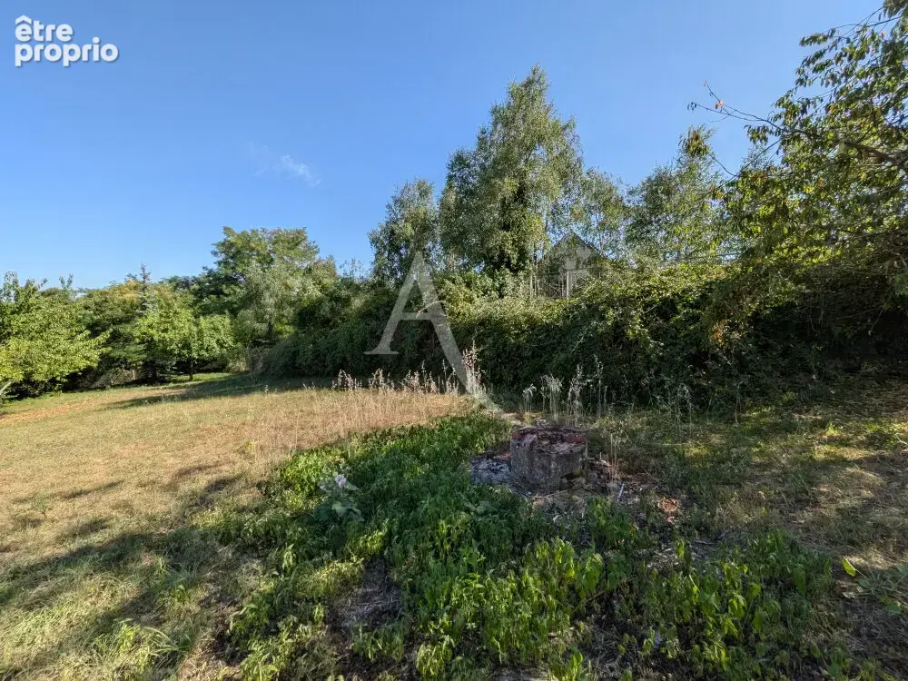 La chaussee saint victor - peripherie de blois. - photo 14