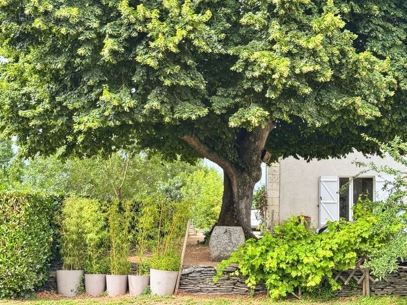 Maison à LES PONTS-DE-CE