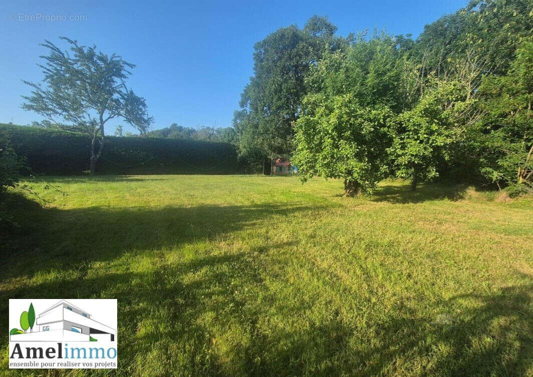 Terrain 1200 m² à Moissieu-Sur-Dolon  - photo 2