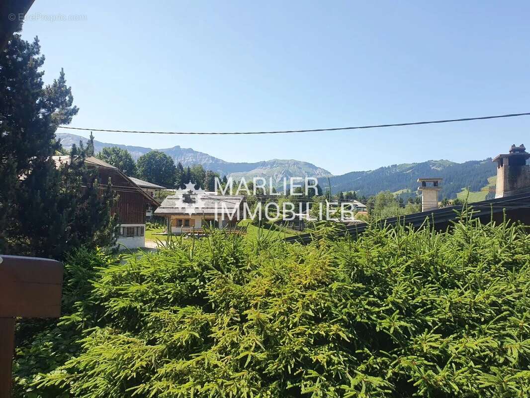 Pettoreaux - f1 de 24,33 m² - photo 9