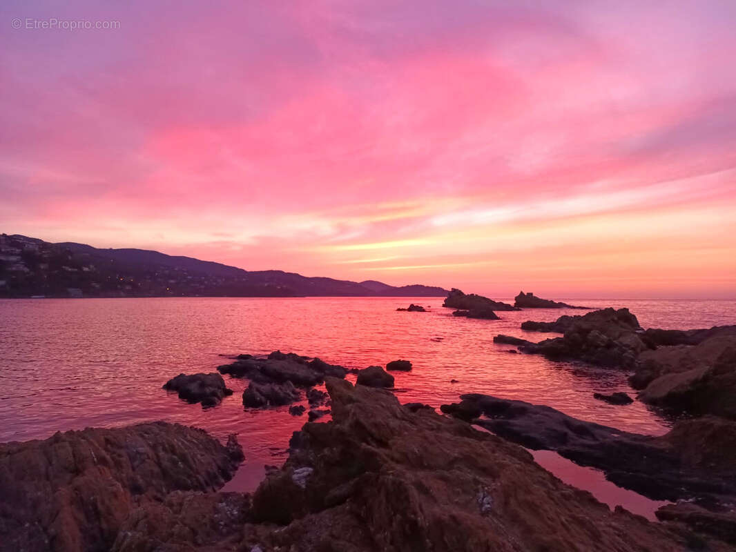 Maison à LE LAVANDOU