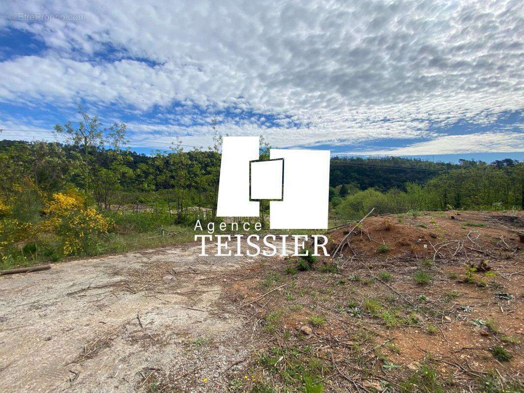 Terrain à CHAMBONAS