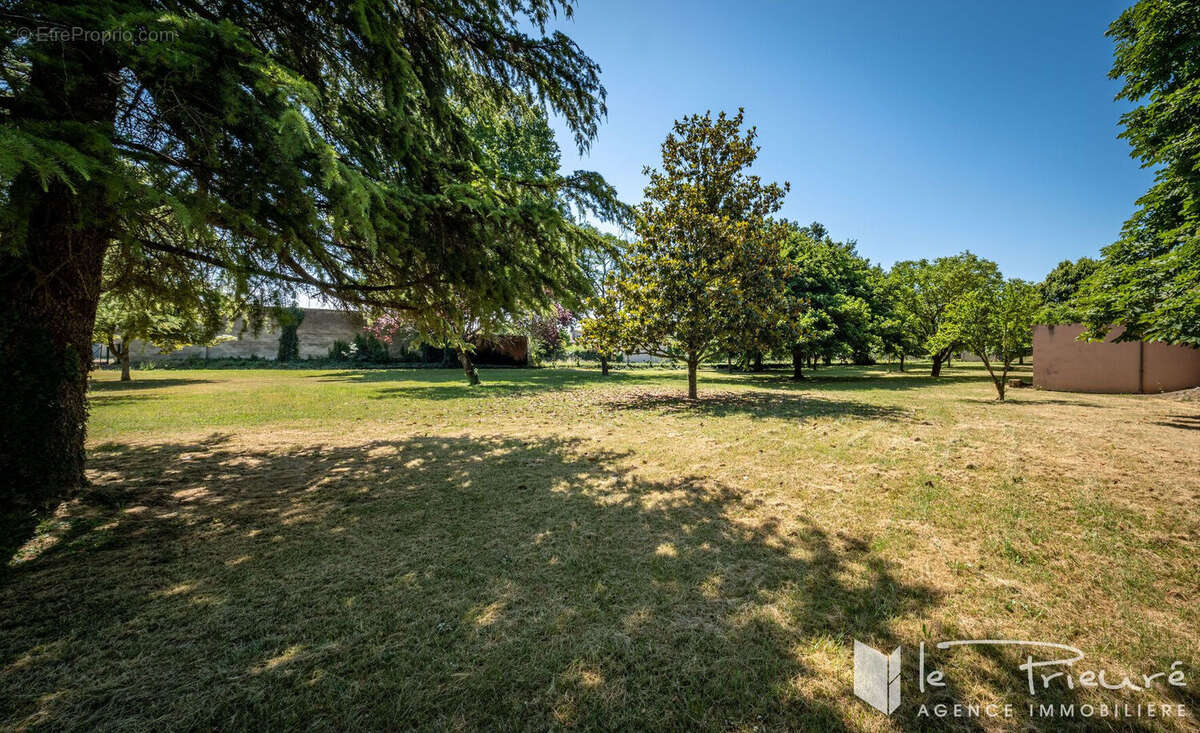 Propriété Familiale sur un parc magnifiquement arboré à Proximité immédiate d'Albi - photo 6