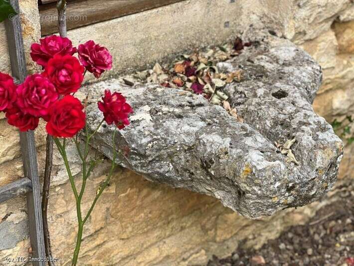 Maison à CELLEFROUIN